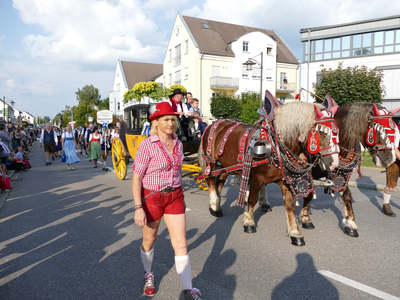 Gespann der Brauerei Schierlinger | © Kneitinger