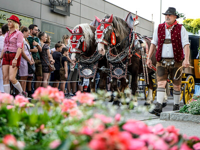 Pferdegespann beim Auszug | © Eberl