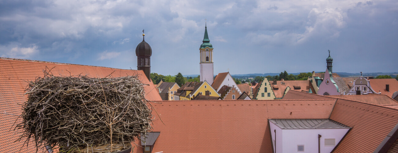 Blick vom Storchennest auf die Dächer der Altstadt Abensberg
