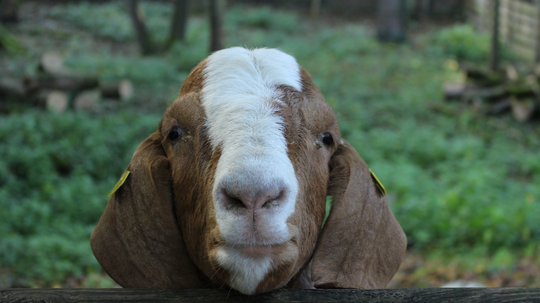 Hier ist das Pfingstferienprogramm