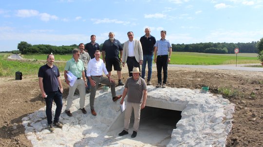 Flutmulde schützt Sandharlanden