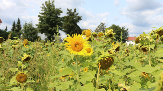 10.000 Euro für die Energiezukunft