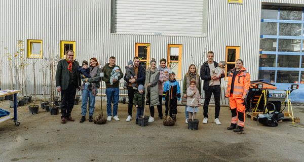 Geburtenpflanzbäume