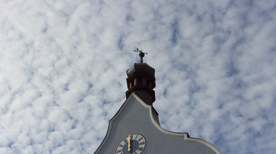 „Mikrozensus 2024“ startet