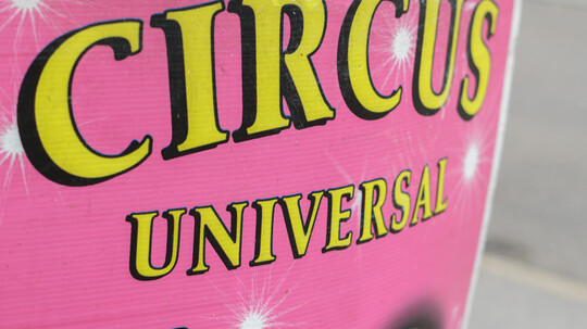 Circus Feraro wieder auf der Gillamooswiese zu Gast