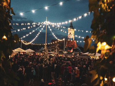 Niklasmarkt im romantischen Schlossgarten | © märzmedia