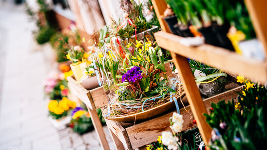 Frühjahrsmarkt & Messe | © Pieknik